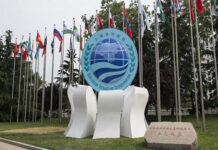 Iran submits proposals for expanding energy co-op among SCO member states