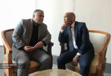 Iran, South Africa emphasize development of cooperation in energy sector