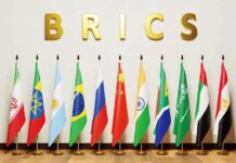 Iran National Science Foundation, BRICS to cooperate in flagship projects