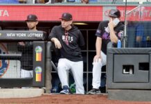Andy Green felt a ‘responsibility’ to help Mets and return to dugout