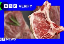 No, there’s no plot to make you allergic to meat