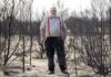 ‘Flamin’ cockatoos’ have lost much of their habitat to bushfires. Can the species survive?