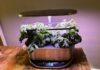 The Aerogarden I Recommend to Everyone Is Just $83 Right Now, a 63% Discount