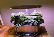 The Aerogarden I Recommend to Everyone Is Just $83 Right Now, a 63% Discount