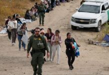 ICE opens up new front in war on fraud with new first-of-its-kind policy: ‘On notice’