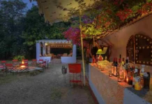 Couple Turns Chambal Into a Tourism Hub With Their Boutique Safari Lodge, Empowers Locals