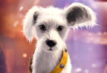 DC Fans Claim Dog From ‘Supergirl’ Not Even Hot