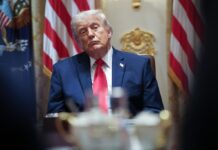 Donald Trump Calls to Cancel America 250 Concert Following Performer Protests