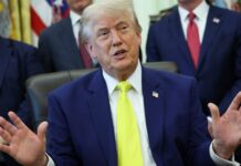 MAGA hates AI, but Trump agrees with Bernie it might be time for partial government ownership
