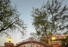 Jaipur Sisters Leave Jobs to Turn Their 60-YO Ancestral Home into Quaint, Vintage Café