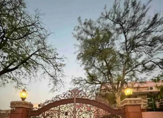 Jaipur Sisters Leave Jobs to Turn Their 60-YO Ancestral Home into Quaint, Vintage Café