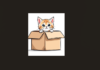 International Box Day 19th June 2026