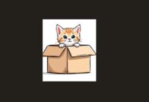 International Box Day 19th June 2026