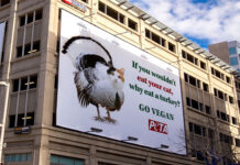 PETA Billboard Falsely Assumes Man Wouldn’t Eat His Cat