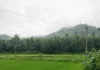 Monsoon Food Map of India: Over 50 Delicious Dishes to Welcome the Rains