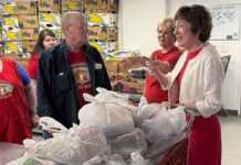 Collins secures GOP nod in Maine Senate battle that could decide GOP majority