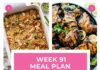 Weekly Meal Plan #91
