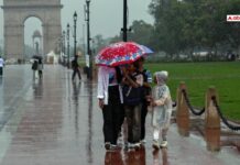 Delhi-NCR Gets Respite From Scorching Heat As Rain And Strong Winds Cool Region
