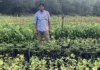 This Maharashtra Man Has Revived 350 Native Plant Species, Creating a Source of Income for Villagers