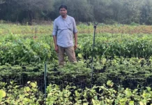 This Maharashtra Man Has Revived 350 Native Plant Species, Creating a Source of Income for Villagers