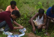 This 17-YO Built an AI Device That Helps Farmers Protect Crops From Wildlife