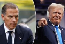 Hunter Biden could mount a successful White House bid given recent Democrat picks: Trump