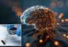 China beats Elon Musk to launch world’s first commercial brain chip