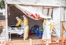 Suspected Ebola cases drop down to 116 after hundreds are ruled out, WHO says