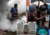 Sri Lanka battles severe dengue fever outbreak, with over 44K cases and 28 deaths this year