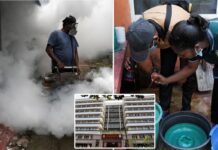 Sri Lanka battles severe dengue fever outbreak, with over 44K cases and 28 deaths this year