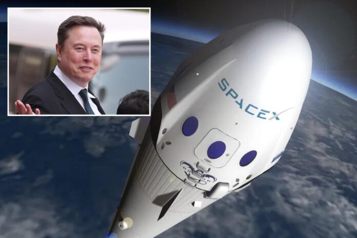 elon-musk-spacex-ipo.jpg