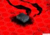 CISA gives US federal agencies three days to fix a VPN bug under attack by a ransomware gang