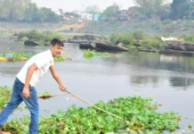 How an Engineer in Jharkhand Makes Sarees With Water Hyacinths, the ‘Terror of Bengal’