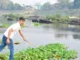 How an Engineer in Jharkhand Makes Sarees With Water Hyacinths, the ‘Terror of Bengal’