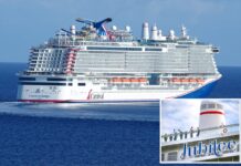 Cruise passenger hailed as ‘amazing human’ after jumping into water to save man, 84