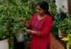 “I Grow Cucumbers on My Bengaluru Terrace Every Summer. Here’s What I Wish I Knew Before I Started”