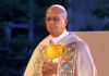 Pope Leo urges youth to be ‘sparks of a new humanity’