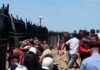 Albania protests escalate over Kushner-backed coastal development