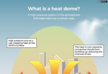 Deaths, disruptions across Europe: What you should know about the heatwave