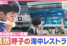 Yobuko Underwater Restaurant Promises Bigger Windows Ahead of Renewal