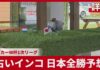 Parrot Predicts Japan to Win All Group Matches at World Cup