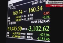 Nikkei Plunges More Than 3,100 Points on Technology Sell-Off