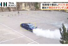 Dutch Tourist Arrested Over Drift Driving in Museum Parking Lot