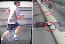 Millionaire with ties to UK royal family accused of being notorious jogger seen pushing woman in front of bus