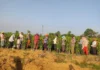 How This 4-Km Stretch in Karnataka Produces 50 Lakh Mango Saplings Every Year