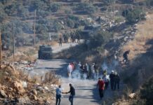 Palestine weekly wrap: World sanctions settlers, Israel funds settlements