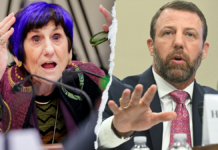 WATCH: Hearing derails as purple-haired Dem points finger, screams at chair to put DHS chief ‘in his place’