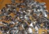 Man caught with 150 live venomous scorpions at airport
