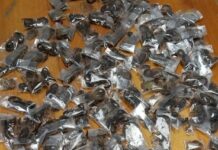 Man caught with 150 live venomous scorpions at airport