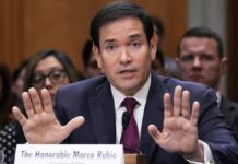 Rubio torches Democrat after bizarre hearing questions about his shoes: ‘Is this a circus?’